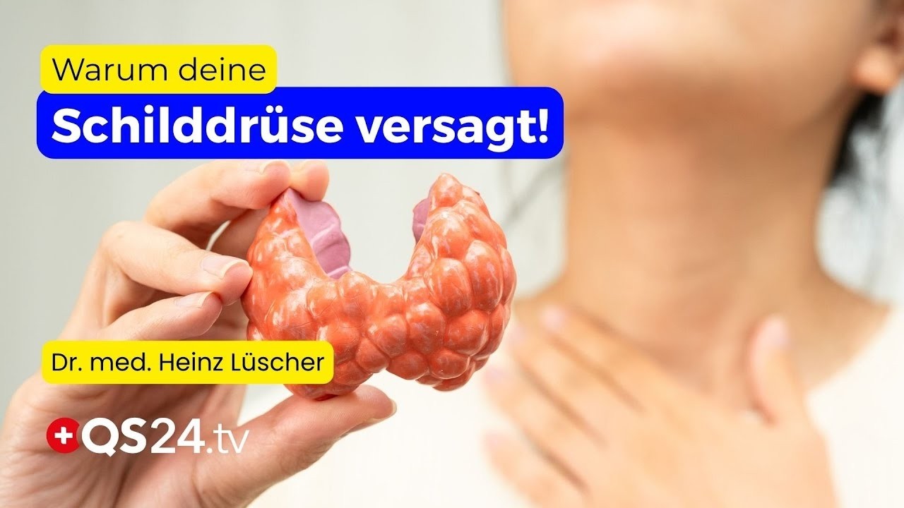 Schilddrüse aus dem Gleichgewicht? Ursachen verstehen und gezielt unterstützen | QS24