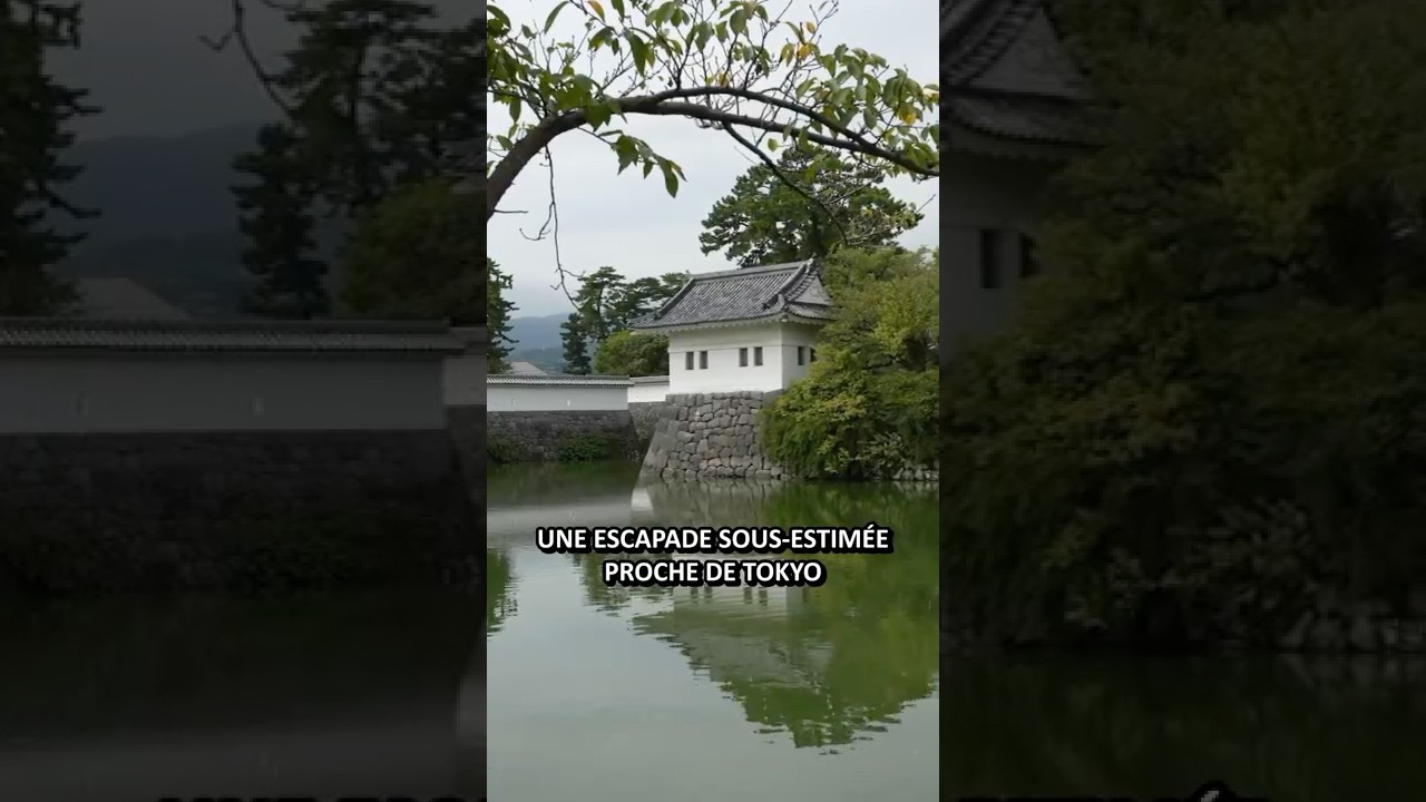 Odawara, une escapade sous-estimée proche de Tokyo 🏯 #japon #shorts