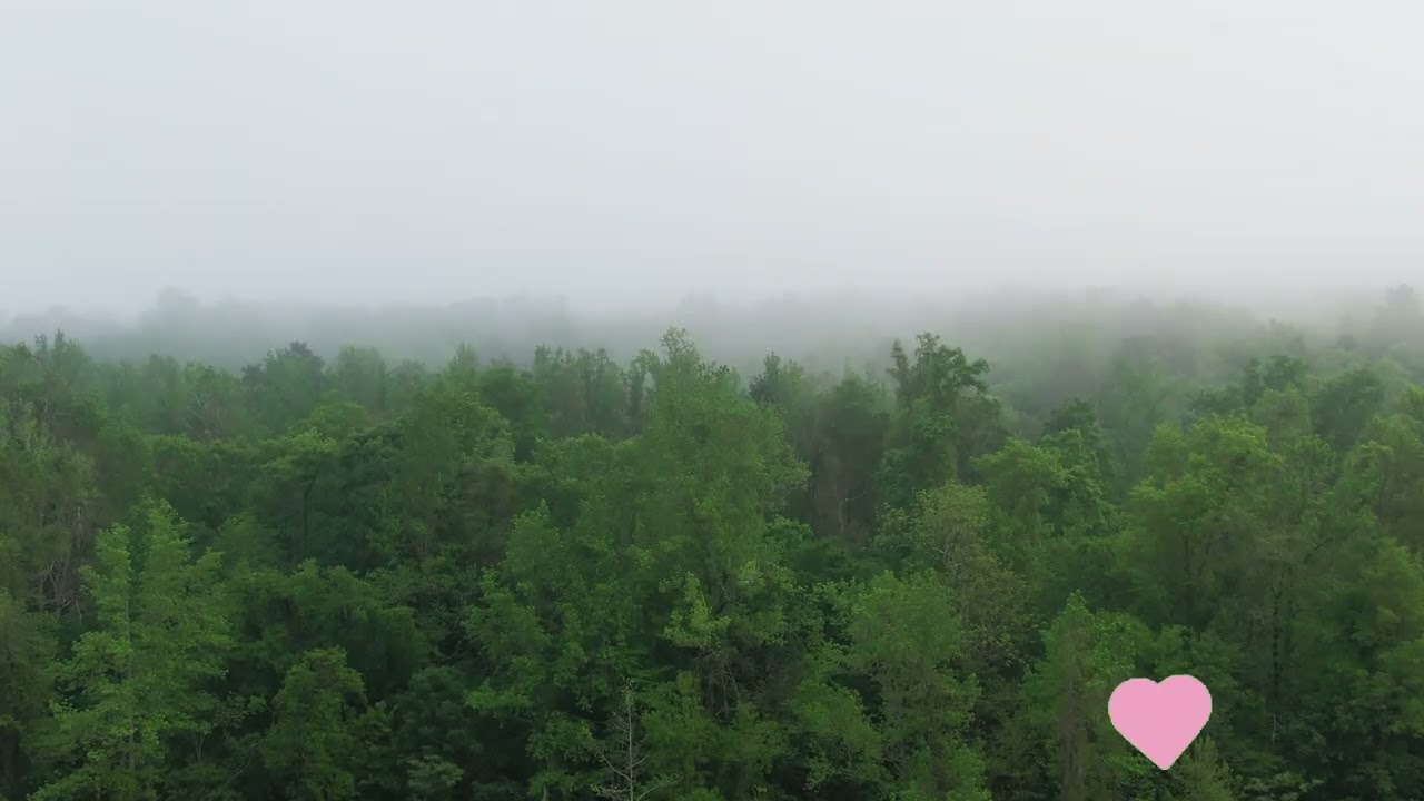 6 Minute Calm Music: A Quick Escape for Mindfulness