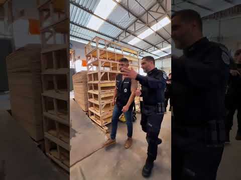 Trabalho Prisional na regional do Complexo de Curitibanos em Santa Catarina. Impressionante