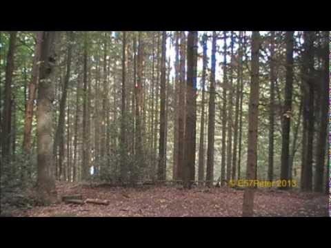 Sirenengeheul über der Stadt Lohmar, 21.09.2013