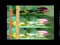 Sonic Underground: Episode 03 Music - We're ...
