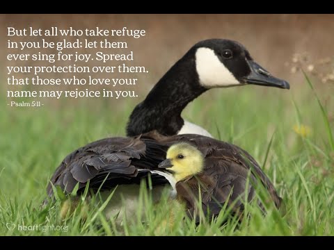 Take refuge in the Lord