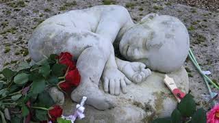 Louise Woods and Sands Memorial Garden - Behind the Scenes