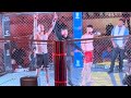 Lamar Harris Pro Fight (Mexico)
