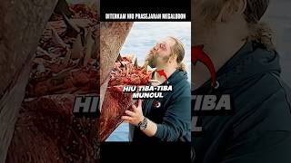 Download lagu Hiu Megalodon Raksasa Makan Kapal dan Pria Gemuk! #alurceritafilm #film #shorts mp3 Download lagu Hiu Megalodon Raksasa Makan Kapal dan Pria Gemuk! #alurceritafilm #film #shorts mp3