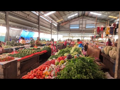 Rose Hall Town Market Berbice, Guyana VLOG (2022)