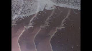 DREAM 2 DARE (Pure Bathing Culture Remix)