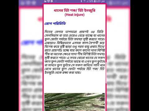 ধানের রোগ ~ Paddy Diseases