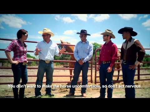 download lagu mp3 mp4 Language Cowboy, download lagu Language Cowboy gratis, unduh video klip Language Cowboy