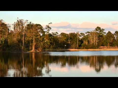 Riverbend Park, Jupiter Florida