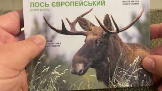 Розпакування лота Лось європейський + Лелека чорний з Віоліті. Відгук Віоліті