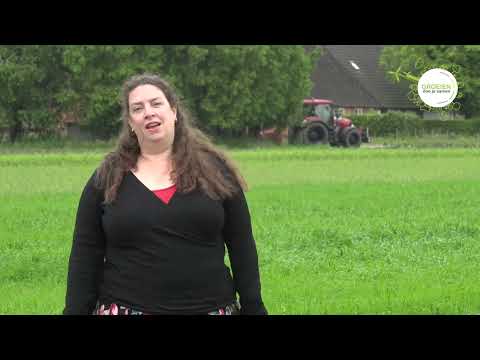 Het initiatief Lodders - pilot vitaal buitengebied Zundert