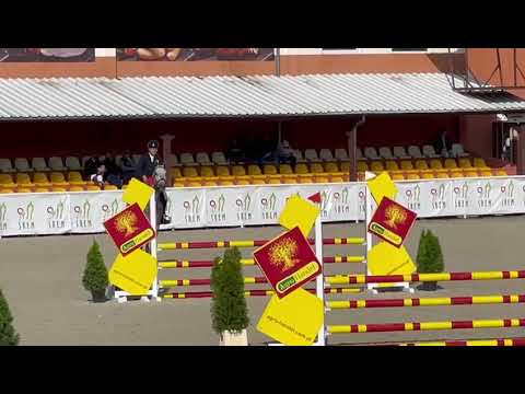 Rihanna van de Grenshoeve (Cornet Obolensky x Codex)