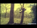 Rajni Fight Scene Annai Oru Aalayam