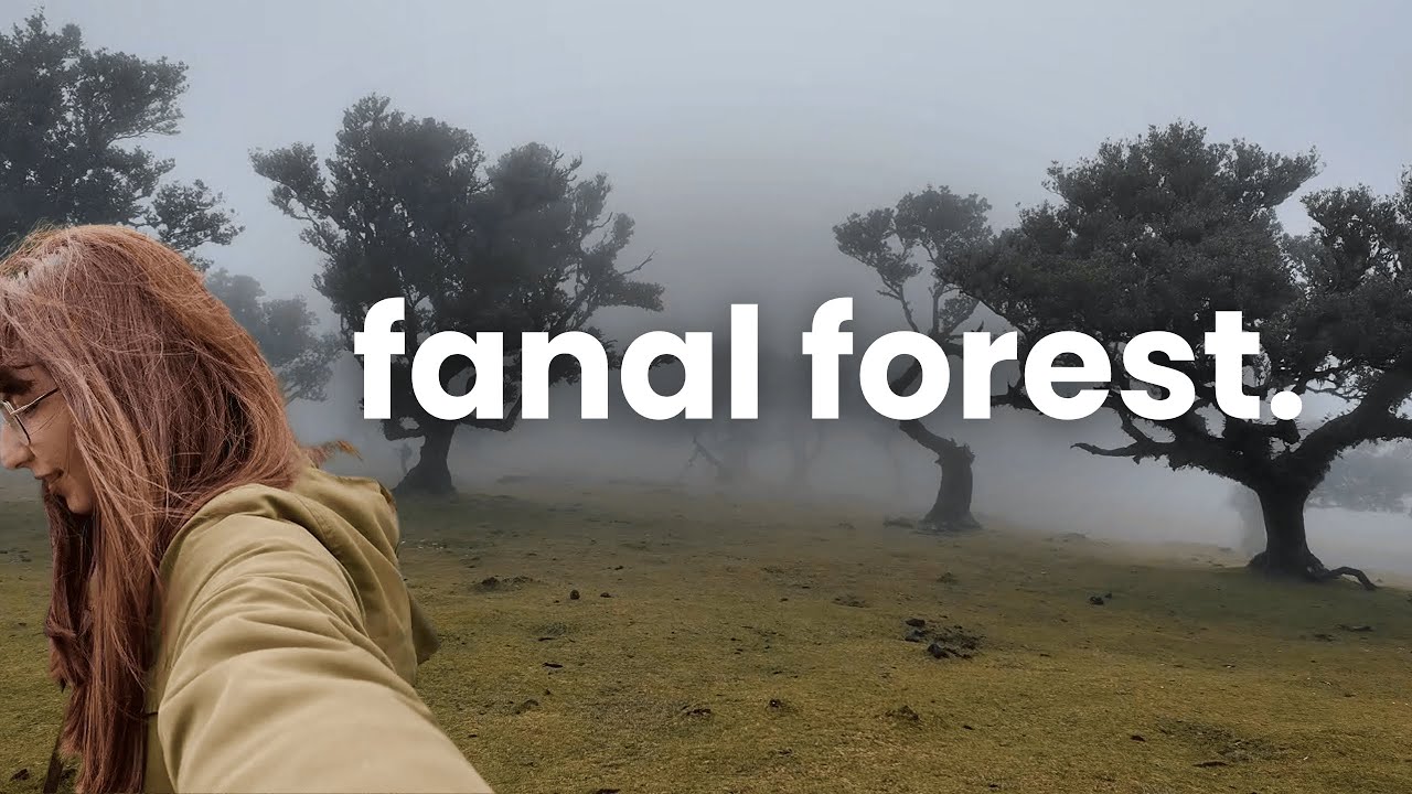Join a traveler as she explores Fanal Forest.