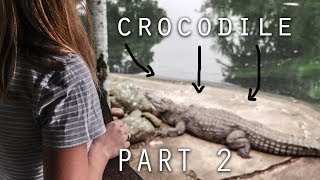 preview picture of video 'Matric Vac PART 2! Crocs are mad'