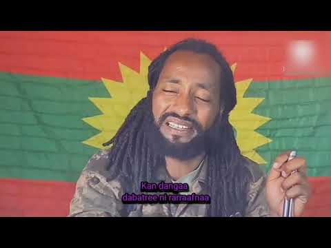 JAAL ABBAA ROOBAA: "LAFA LAFEE SANYIIKOO" #oromo #oromomusic #music