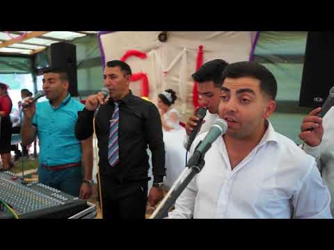 Fratii din Bacesti - La nunta voastra (Colaj muzica de nunta)