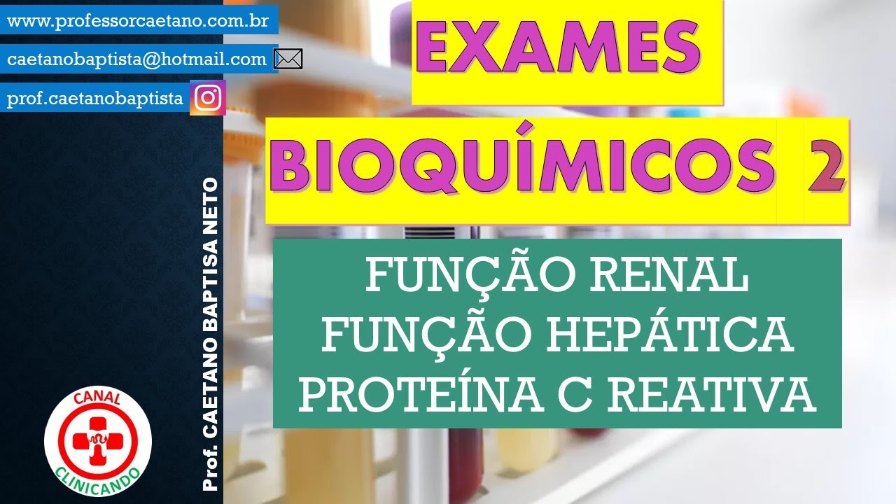 Exames Bioquímicos 2: Função Hepática (TGO TGP GGT / transaminases), Função Renal (Creatinina/Uréia)
