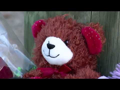 CT Search for Fugitive