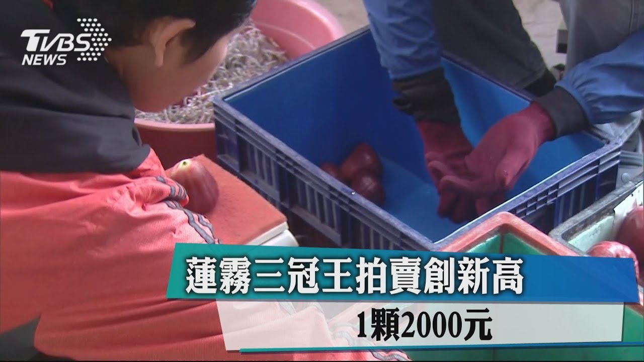 蓮霧三冠王拍賣創新高 1顆2000元