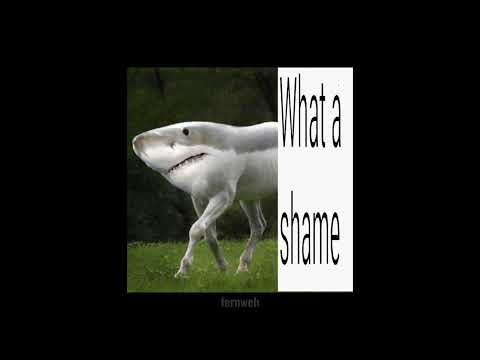 killdummies - Safran and Majoran (2023)