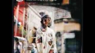 The Professionals (Oh No &amp; Madlib) - I Want It Back