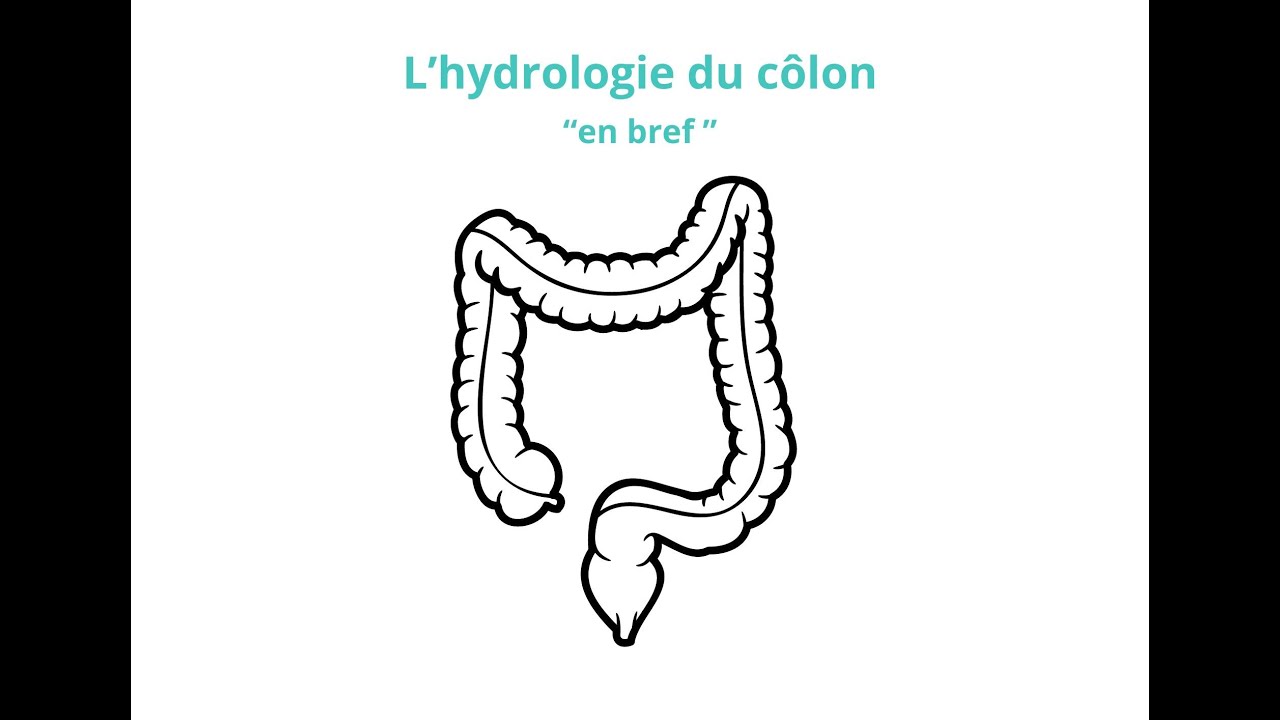 L'hydrologie du côlon - en bref
