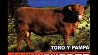 ALMAFUERTE - POR SER YO