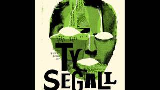 ty segall - mr. toad's wild life
