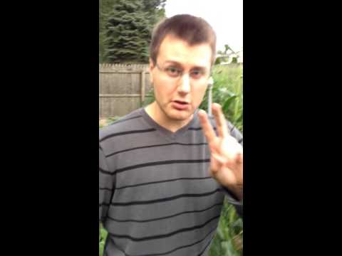 Keep Squirrels Out of Your Garden...for good!