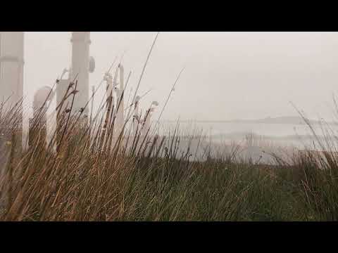 World Organ 05 04 23