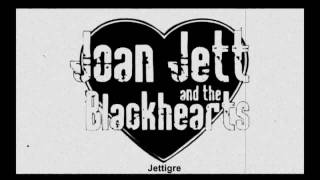 Joan Jett - FAKE FRIENDS ( 2010 )