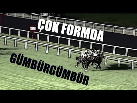 BABAKURUŞ KOŞUSU   (KV-8/4+A)   12/09/2019   İZMİR