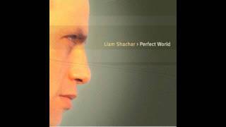 Liam Shachar - Striking Force (Part 1)