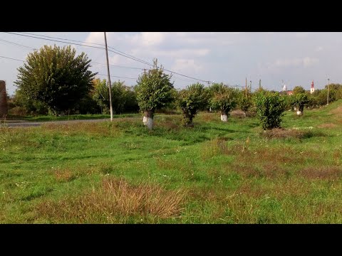 La pas, prin Sânpetru German 🏘️ Walking, through Sânpetru German