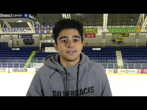 Meet the Silverbacks - Simon Tassy
