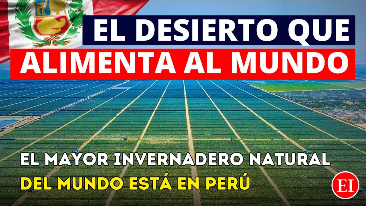 The Peruvian desert has become a WORLD-CLASS agricultural POWER