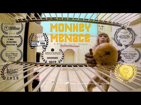Monkey Menace Documentary CROWDFUNDER