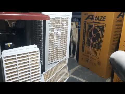 Rocky funny reel 🐕🐕#rocky #funny #vairel 