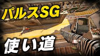 【R6S】パルスSGの出番、ここです。