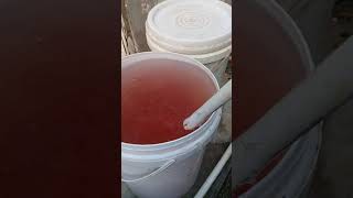 Download lagu Cara menurunkan PH air nutrisi hidroponik menggunakan cuka mp3 Download lagu Cara menurunkan PH air nutrisi hidroponik menggunakan cuka mp3