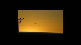 夕焼けと飛行機 #shorts #lateupload