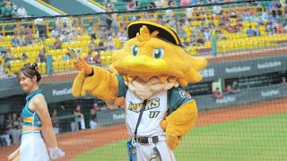 [分享] 昨日雞柳條