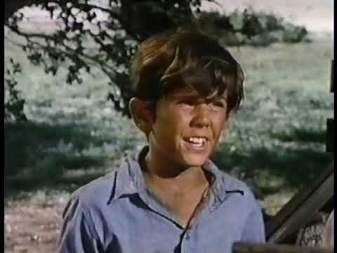 The Young Loner (Walt Disney's Wonderful World of Color) 1968