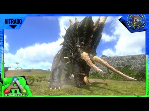 Ark Mobile: Trike TLC