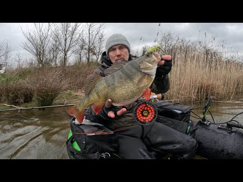 PB perch on flexi dreki - March 29, 2023