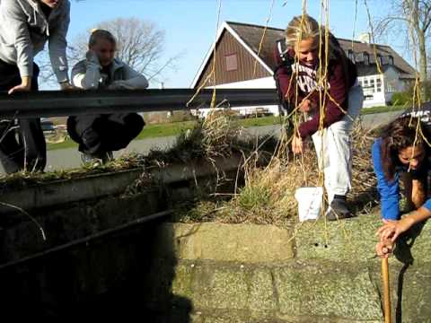 fiskjak i skillinge!