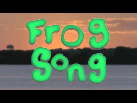 Windmill Blue - Frog Song
